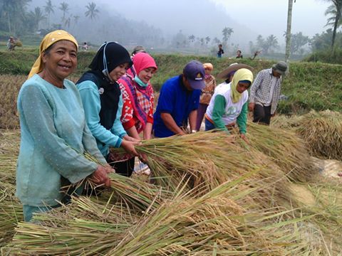 berita-image